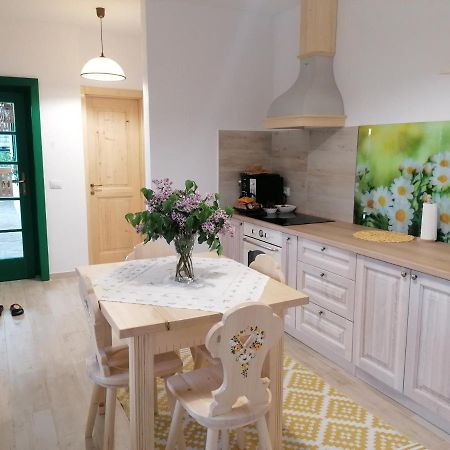 Pensiunea Casuta Din Deal Moisei Extérieur photo