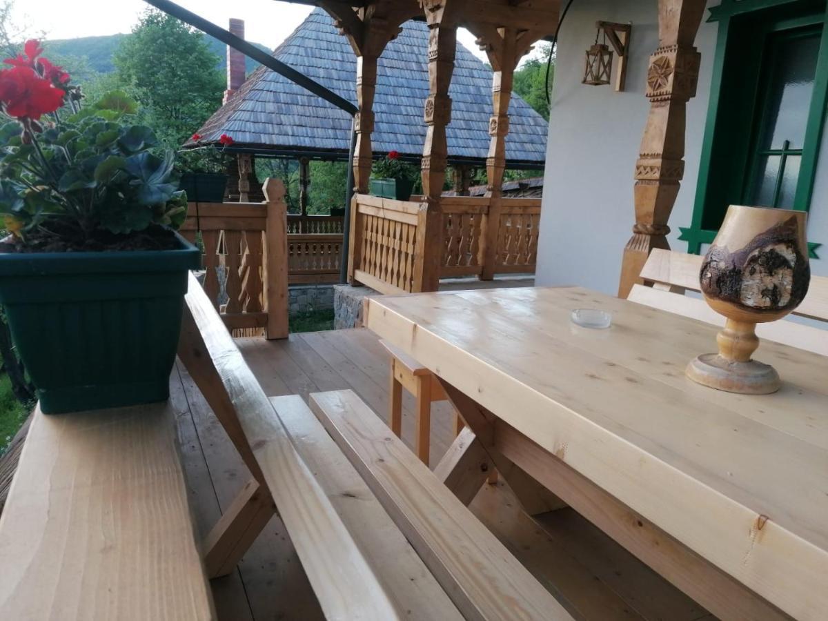 Pensiunea Casuta Din Deal Moisei Extérieur photo